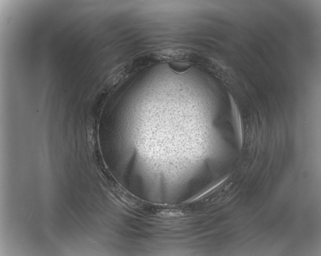 X0000066100749200603241518