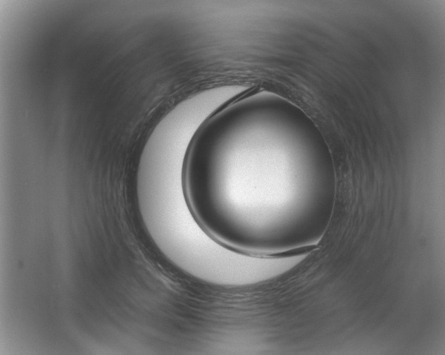 X0000066100750200603241518