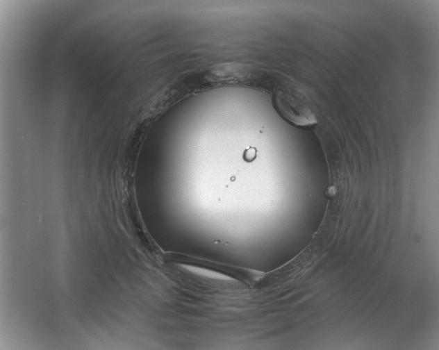 X0000066100751200603241518