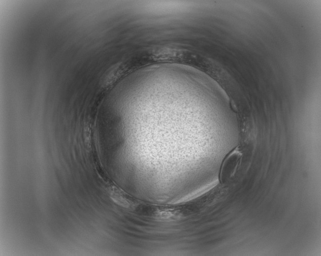 X0000066100753200603241518