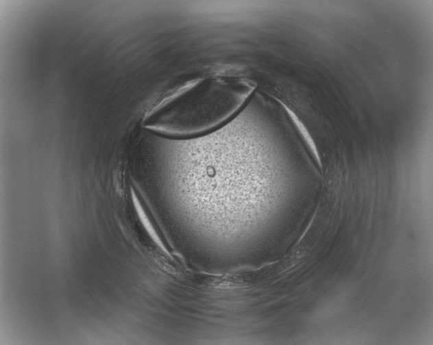 X0000066100755200603241518