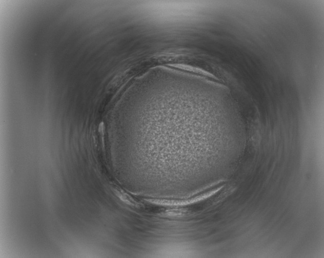 X0000066100758200603241518