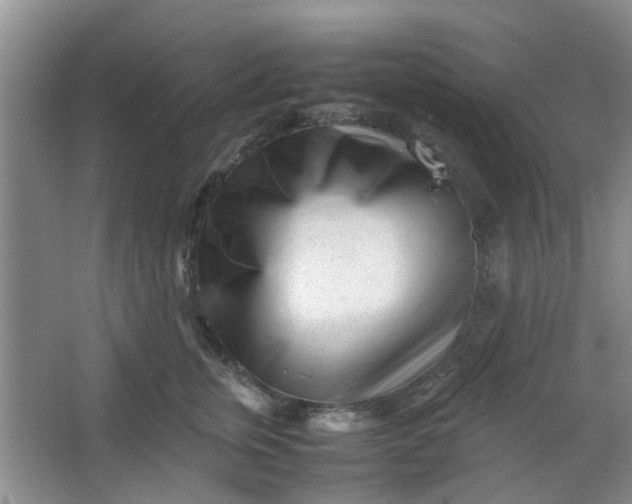 X0000066100759200603241518