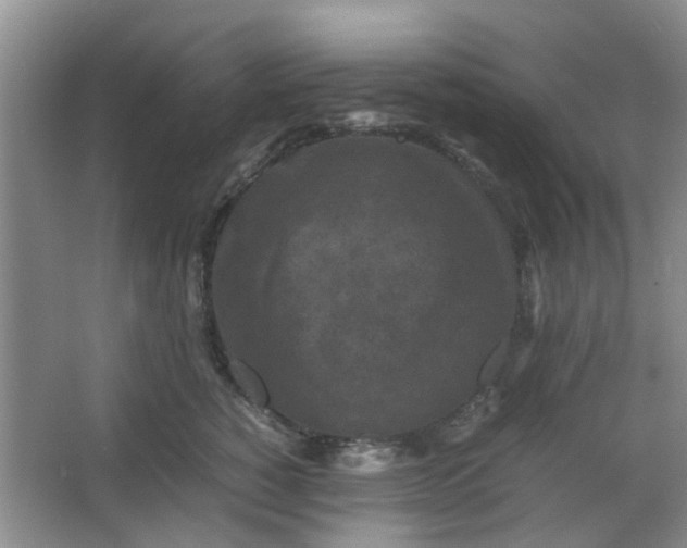 X0000066100760200603241518