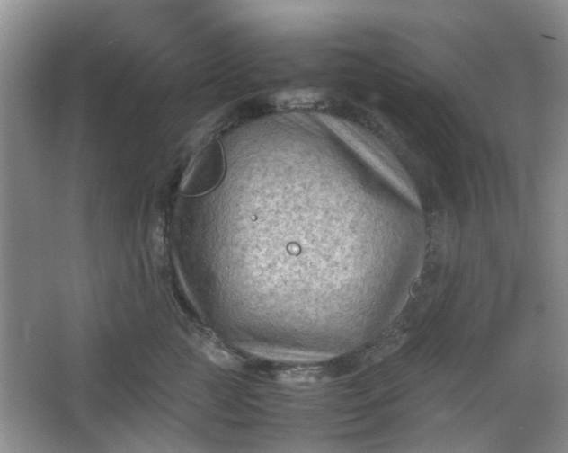 X0000066100761200603241518