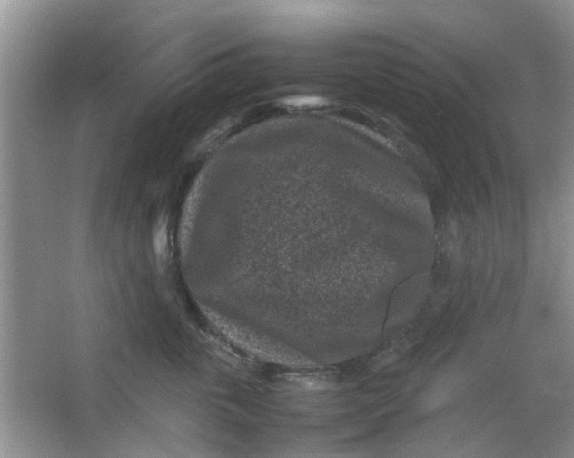 X0000066100763200603241518