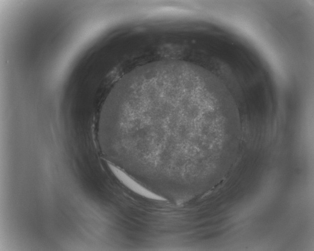 X0000066100765200603241518