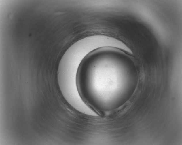 X0000066100766200603241518