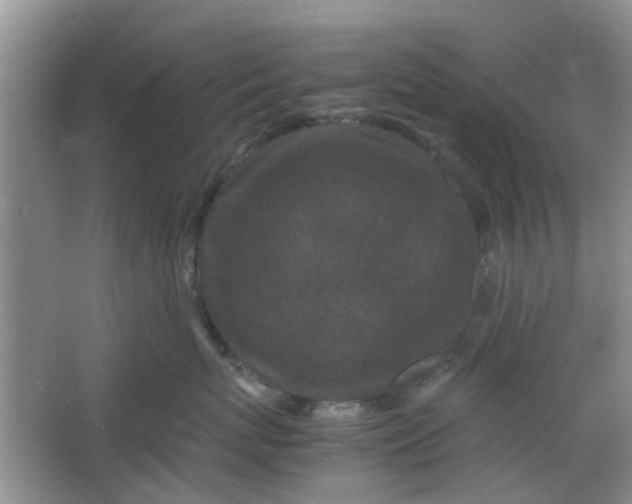 X0000066100767200603241518