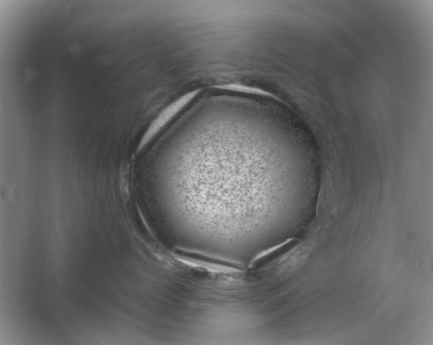 X0000066100768200603241518