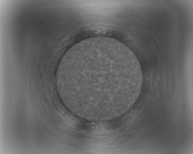 X0000066100769200603241517