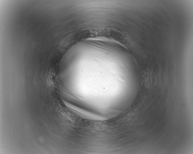 X0000066100770200603241517