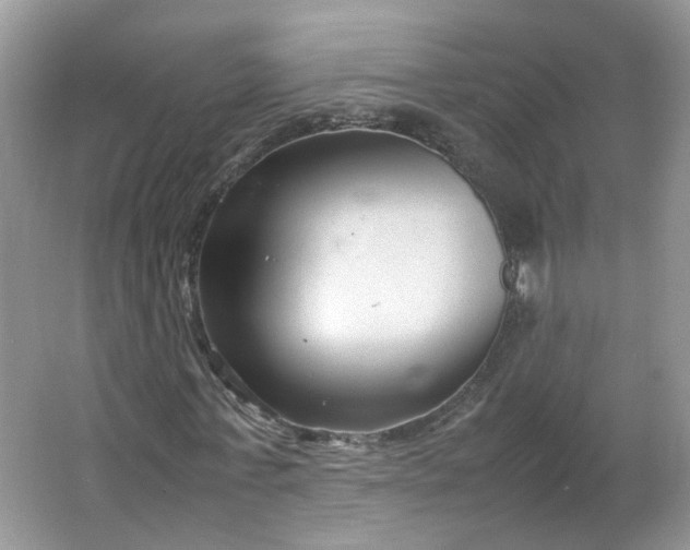 X0000066100771200603241517