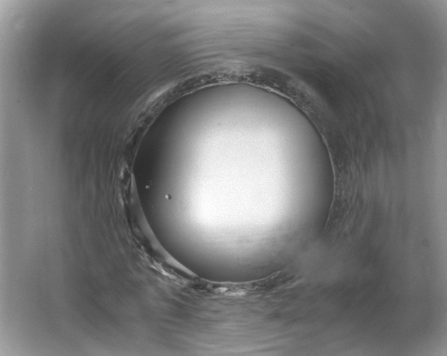 X0000066100773200603241517