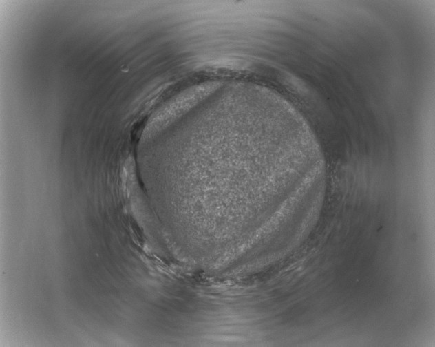 X0000066100774200603241517