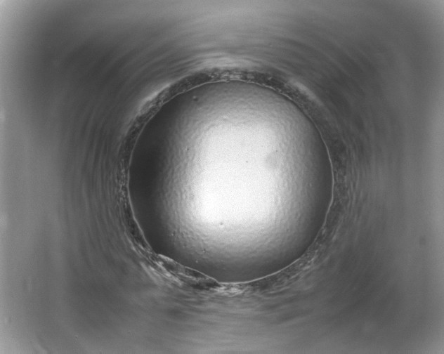 X0000066100775200603241517