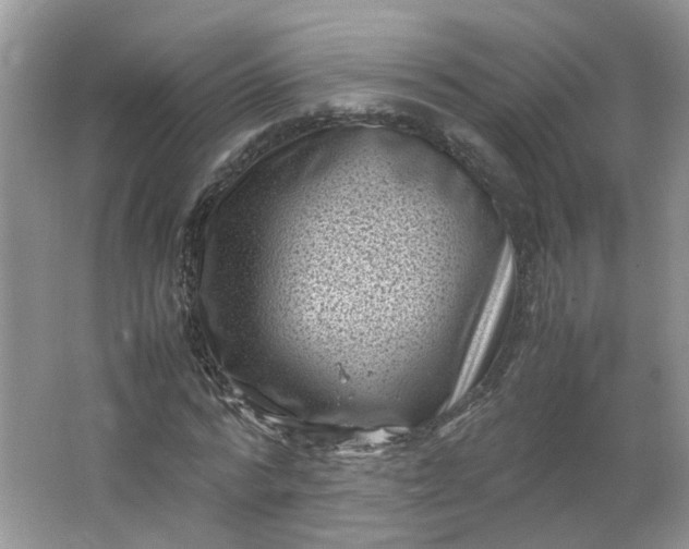 X0000066100776200603241517