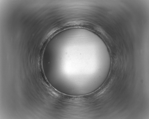 X0000066100778200603241517