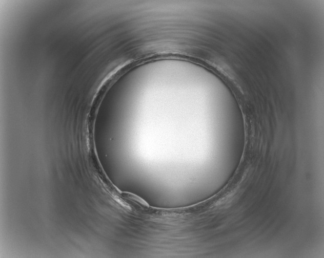 X0000066100782200603241517