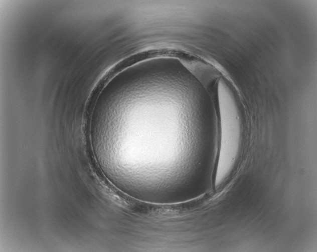 X0000066100783200603241517