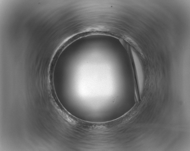 X0000066100784200603241517