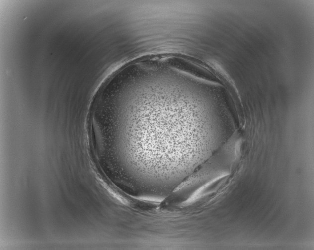 X0000066100789200603241517