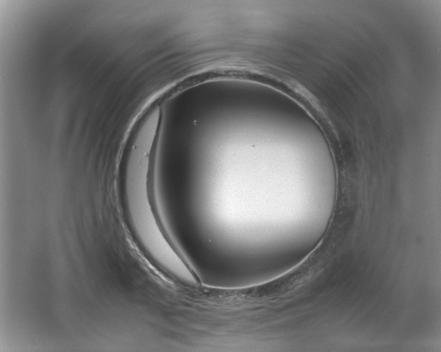 X0000066100791200603241517