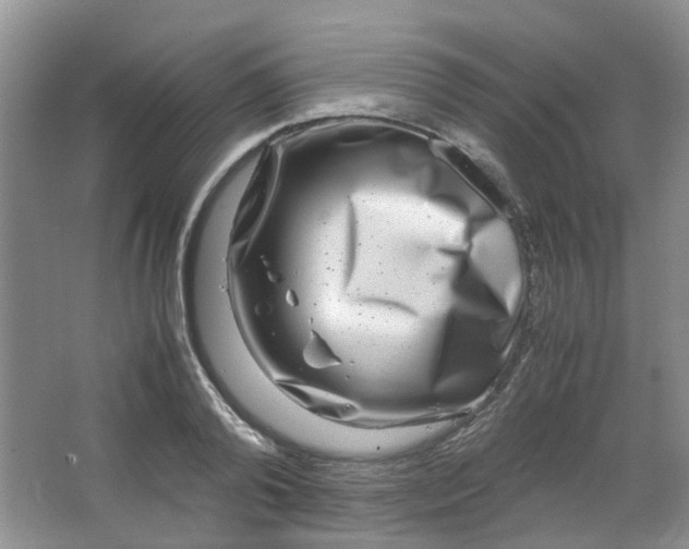 X0000066100792200603241517