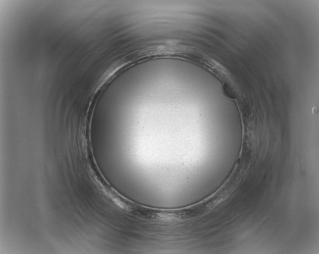 X0000066100794200603241517