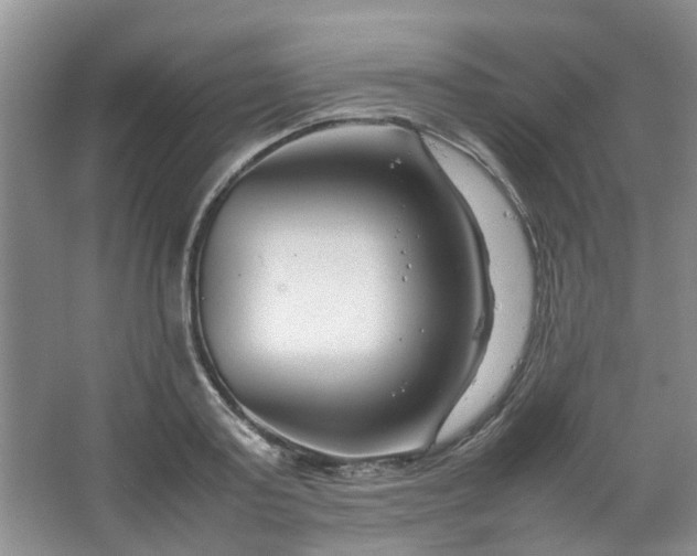 X0000066100795200603241517