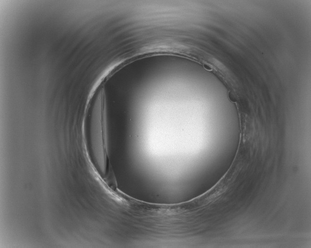 X0000066100796200603241517