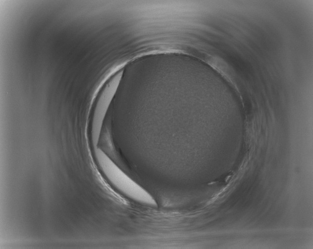 X0000066100797200603241517