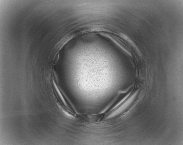 X0000066100801200603241517