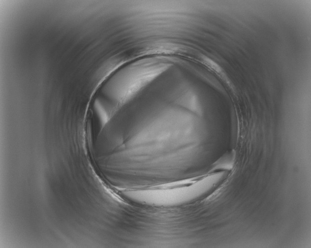 X0000066100802200603241517