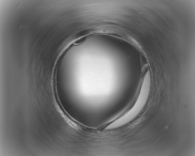 X0000066100803200603241517