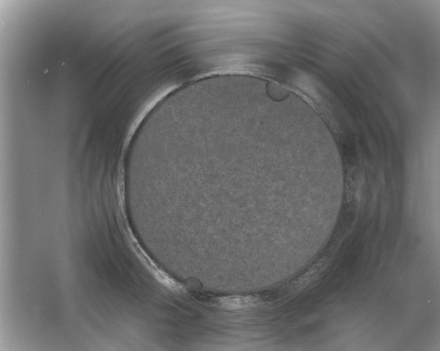 X0000066100804200603241517