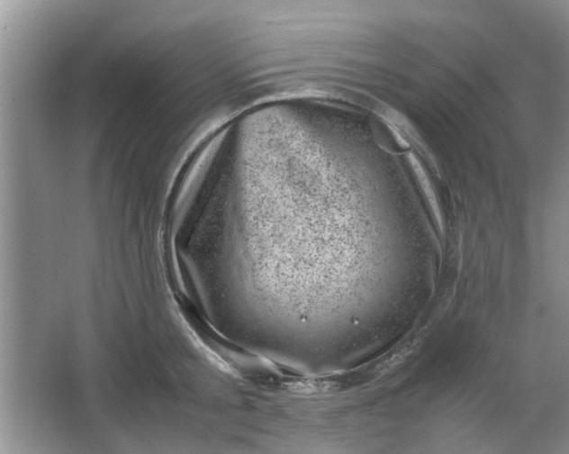 X0000066100805200603241517