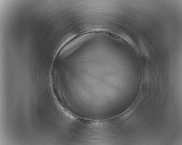 X0000066100806200603241517