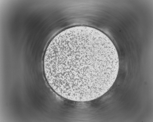 X0000066100807200603241517