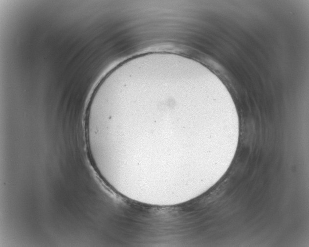 X0000066100808200603241517