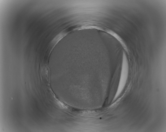 X0000066100809200603241516