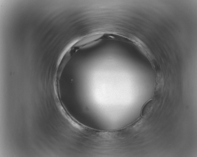 X0000066100812200603241516