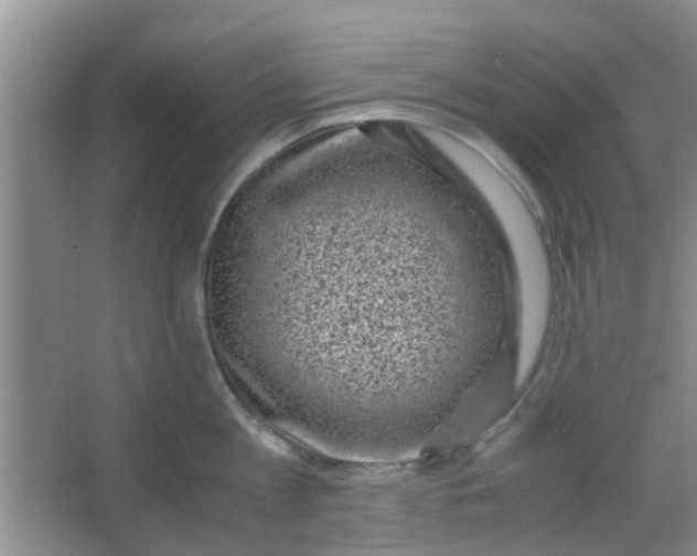 X0000066100813200603241516