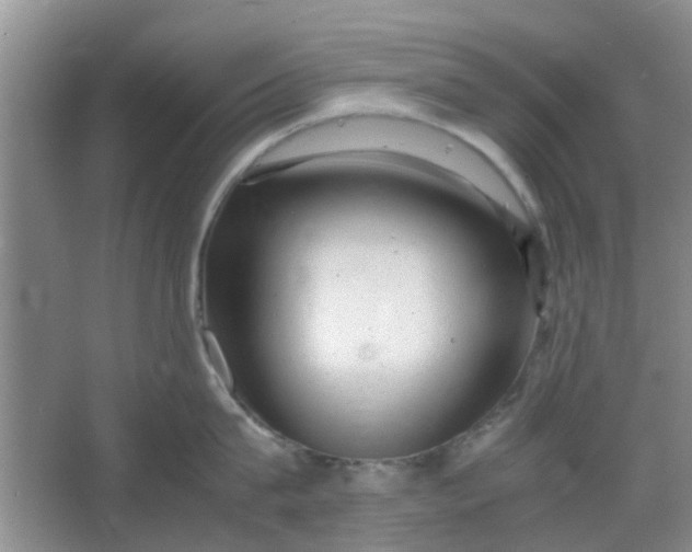 X0000066100815200603241516