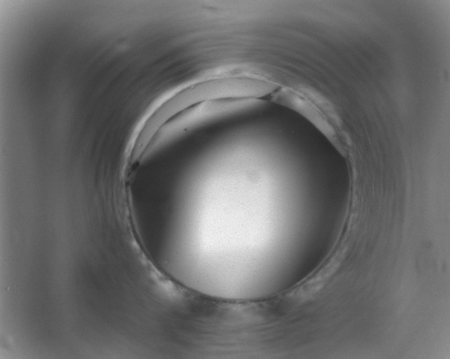 X0000066100816200603241516