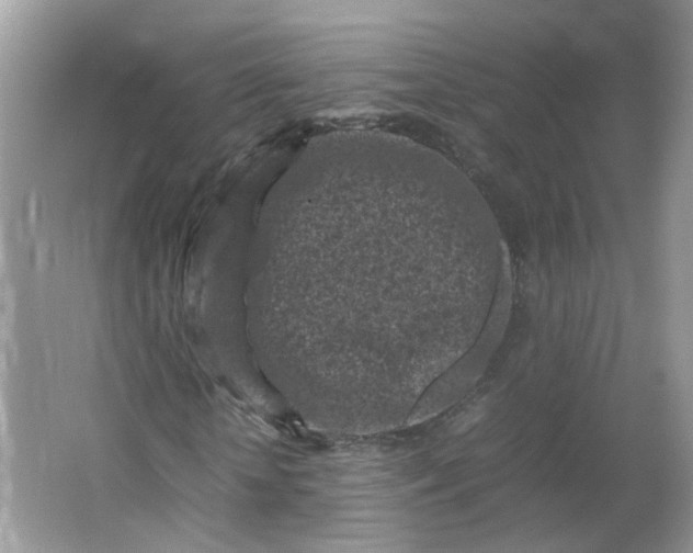 X0000066100818200603241516