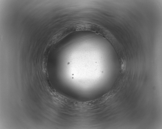 X0000066100819200603241516