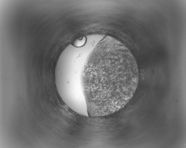 X0000066100820200603241516