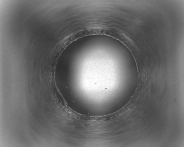 X0000066100821200603241516