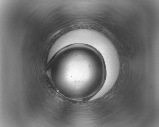 X0000066100822200603241516